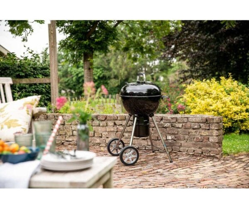 Parrilla Portatil Carbon Barbacoa Napoléon Nk 18