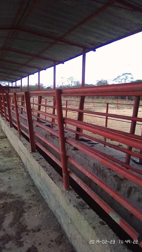 Imagen 7 de 8 de Finca En El Pao, El Baúl, Cojedes, De Oportunidad
