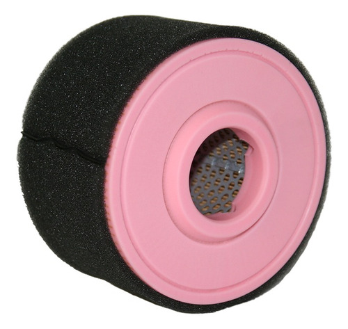 Weber Elemento Filtro De Aire Primario Apisonadora Placa