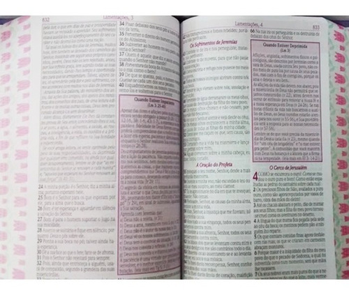 Bíblia De Estudo Da Mulher Sábia Rosa Letra Grande Harpa