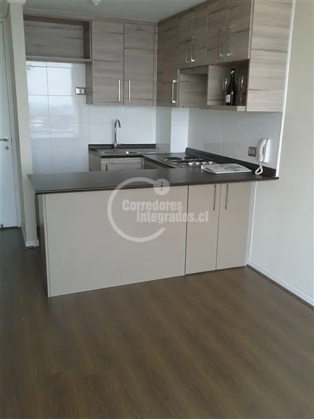 Imagen 2 de 27 de Por 2 Meses A 250.000. 1 Dorm.1 Baño. Metro Cerro Blanco