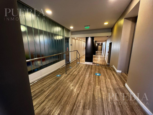 Imagen 4 de 16 de Oficina Aaa A Estrenar En Alquiler De 630 M2