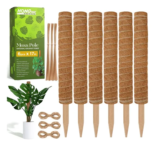 comprar Soporte O Tutor De Musgo Para Plantas Monstera (similares)