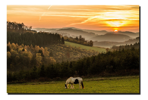 Cuadro Decorativo Canvas Paisaje Caballo En La Pradera