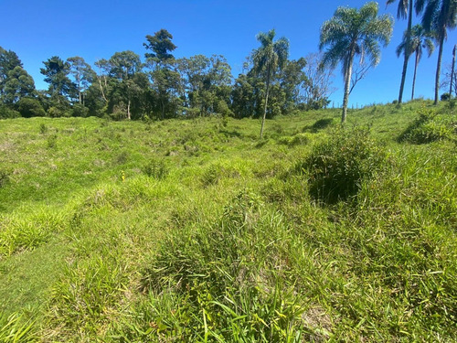 Imagem 6 de 6 de L22- Quem Investe Em Terra Não Erra