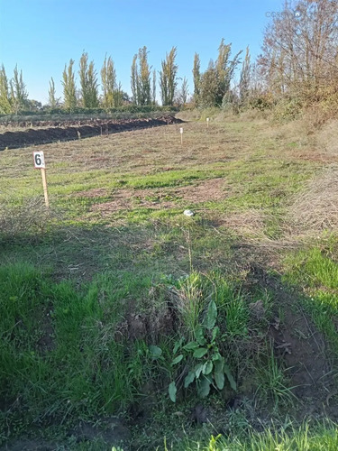 Terreno En Venta En Teno