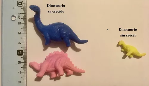 Huevos De Dinosaurios Nacen Y Crecen En El Agua X30 Unid