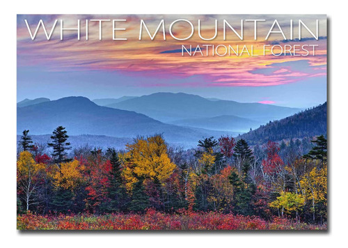 Mountain National Forest Iman Viaje Para Refrigerador