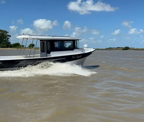 Tracker Cabinada Baader Track 780 Std/ Pro 2025 ,0hs