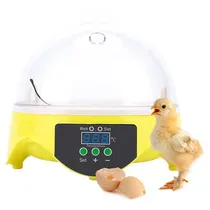 Comprar Chocadeira De Ovos Chocadeira Elétrica Chocadeira 7 Ovos