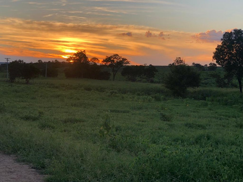 Imagem 3 de 25 de Linda Fazenda Na Bahia!!!!!