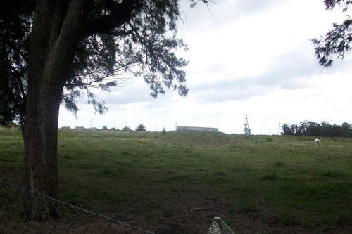 Imagen 2 de 30 de Campo En Venta En Arditti | Ruta 11-km.57 (110 Has)