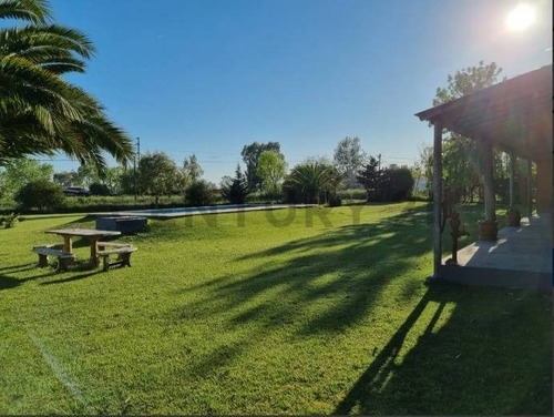 Imagen 5 de 10 de En Venta 2 Casas Quinta En Bloque - Domselaar - San Vicente