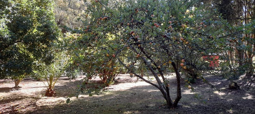 Oportunidad De Inversión En Hosteria Camino A Ensenada