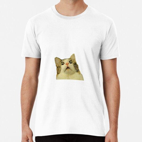 Remera Meme De Gato Asustado - Alta Calidad Algodon Premium 