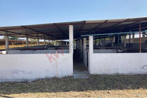 Venta De Increíble Rancho Al Mejor Precio En Tetecala, Morelos,ideal Para Inversionistas Y Ganad...