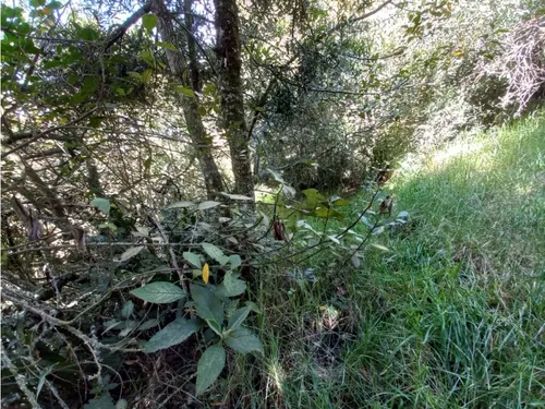 Venta De Lote Chivatá