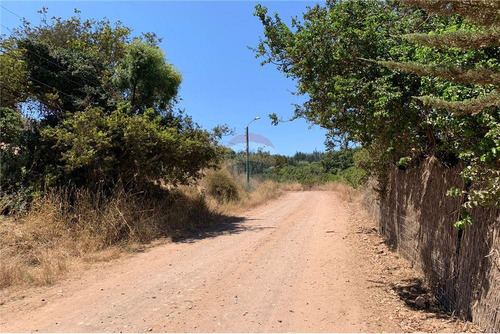 Atención Inversionistas, Subdivision De Terreno.