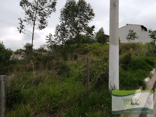 Imagem 6 de 6 de Área Em Chácara São José - Franco Da Rocha - 826