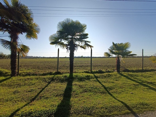 Parcelas De Agrado, Zapallar. A Pocos Minutos De Curicó