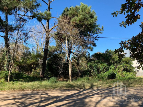 Imagen 2 de 15 de Lote Venta - En Ostende - A 200 Metros Del Mar