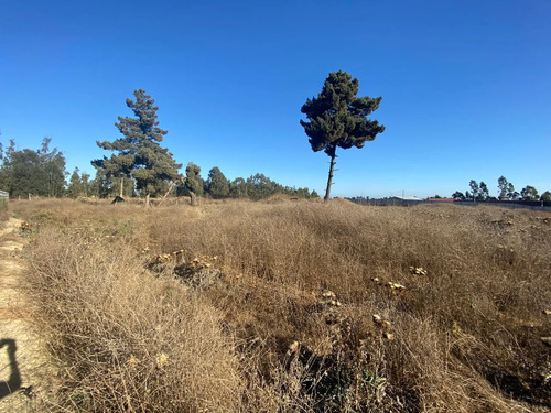 Se Vende Parcela De 1ha En El Sector Malvilla, San Antonio