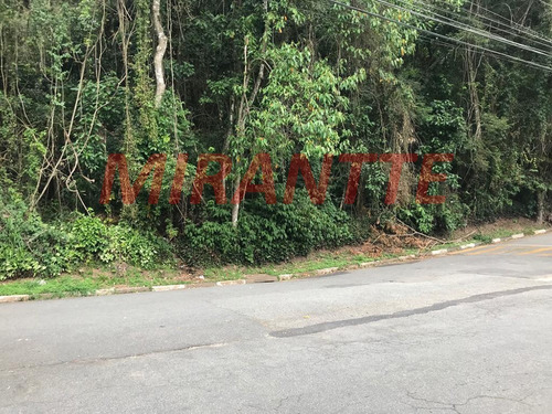 Imagem 3 de 5 de Terreno Em Serra Da Cantareira - São Paulo, Sp - 320719