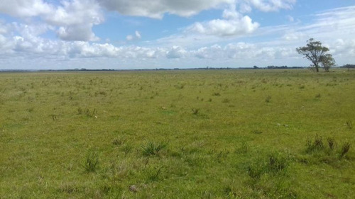Campo En Venta En Rocha 20ha (ref: Atm-5568)