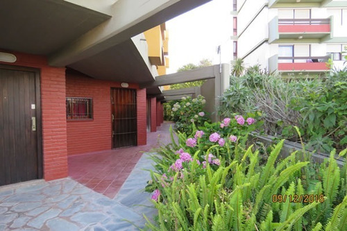 Imagen 3 de 13 de Depto Ambiente Único En Planta Baja Lateral Al Fondo Excelente Estado Y Ubicación