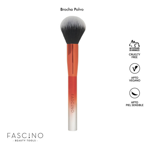 Imagen 3 de 9 de Set 6 Brochas Y Pinceles De Maquillaje Rainbow Fascino