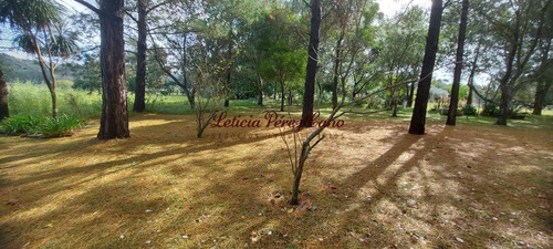 Imagen 4 de 16 de Venta Chacra En La Pataia Con Casa 4 Dormitorios