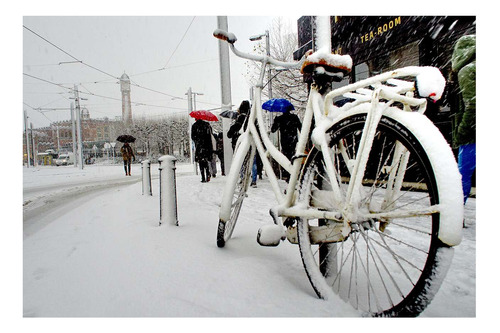 Vinilo 40x60cm Bicicleta Transporte Invierno Winter Ice P5
