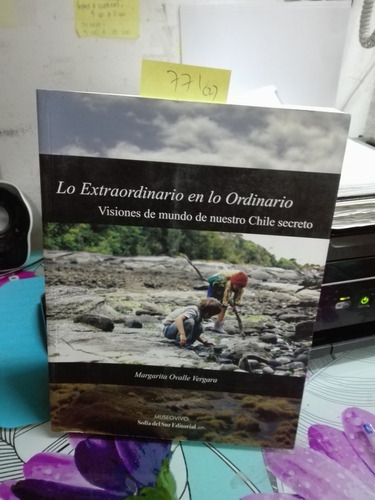 Lo Extraordinario En Lo Ordinario // Margarita Ovalle 