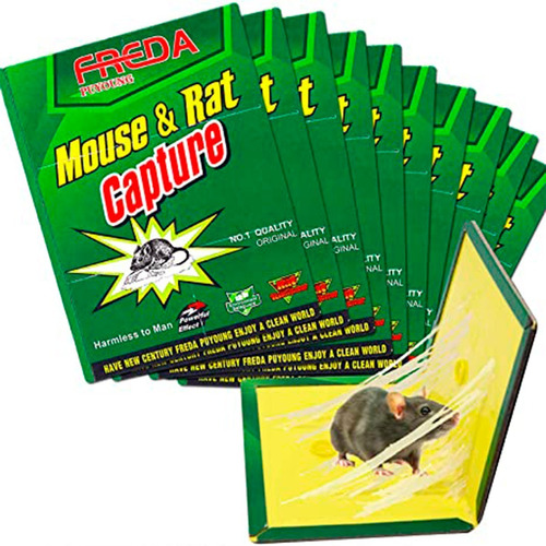 Trampa Adhesiva Mata Rata Ratón Laucha C/ Pegamento X 10 Uni