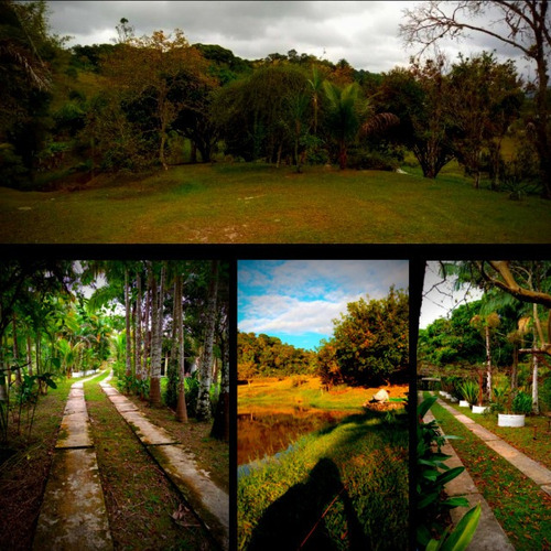 Imagem 6 de 10 de Sitio 133.000 M² Com 7 Lagos Boa Topografia Em Jacupiranga