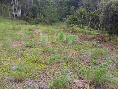 Imagem 1 de 9 de Terreno Rural Para Sítio Ou Chácara A Venda Em Botuverá/sc - 1699c