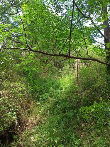 Imagen 8 de 8 de Vendo Lotes De 2000 A 10000 M² Cerca Del Río, San Marcos Sierras