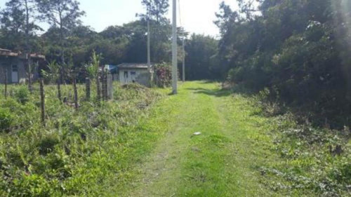 Imagem 3 de 11 de Terreno Com Boa Metragem No Palmeiras Em Itanhaém - 4768|npc