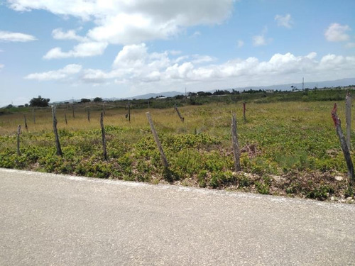 Imagen 1 de 8 de Terreno En Venta San Vicente Buena Vista