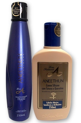 Aneethun Linha A Shampoo+creme Silicone - Profissional