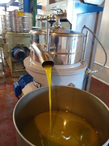 Imagen 3 de 8 de Aceite De Oliva Extra Virgen Yancanelo Lata 500 Ml X 12 U