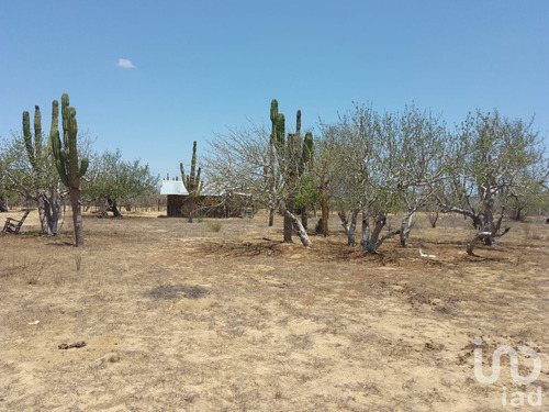 Venta Terreno 0 Ambiente El Carrizal