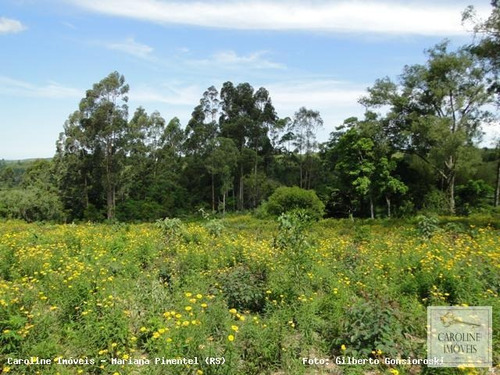 Imagem 3 de 15 de Área Rural Para Venda Em Mariana Pimentel, Linha Preta - Mariana Pimentel - 1148_1-731320