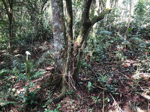 Terreno Rural Para Chácara À Venda Em Itajaí/sc - 1670c
