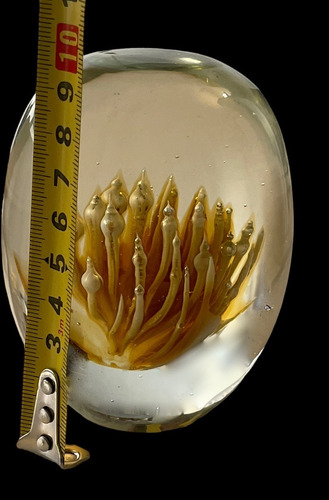 Pisapapel Querandi Cristal Antiguo Vidrio Artístico Años '70 (Usado)