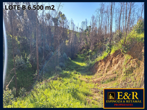 6000 M2 En Colico, Con Ester , Santa Juana (67673)