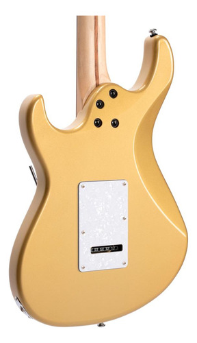 Guitarra Hss Cort G250 Cgm Stratocaster | Alnico Pickups
