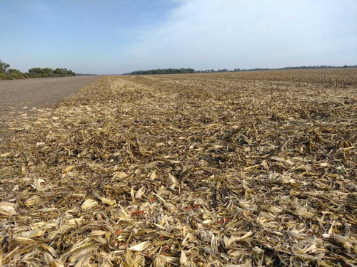 Imagen 9 de 14 de Sachayoj Campo Agrícola 1450 Hectáreas - Tope Gama
