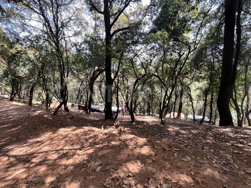 Terrenos Ecológicos En Venta, Santa Rosa Xochiac, Álvaro Obregón, Cdmx