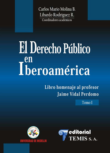 El Derecho Público En Iberoamérica Evolución Y Expectativas